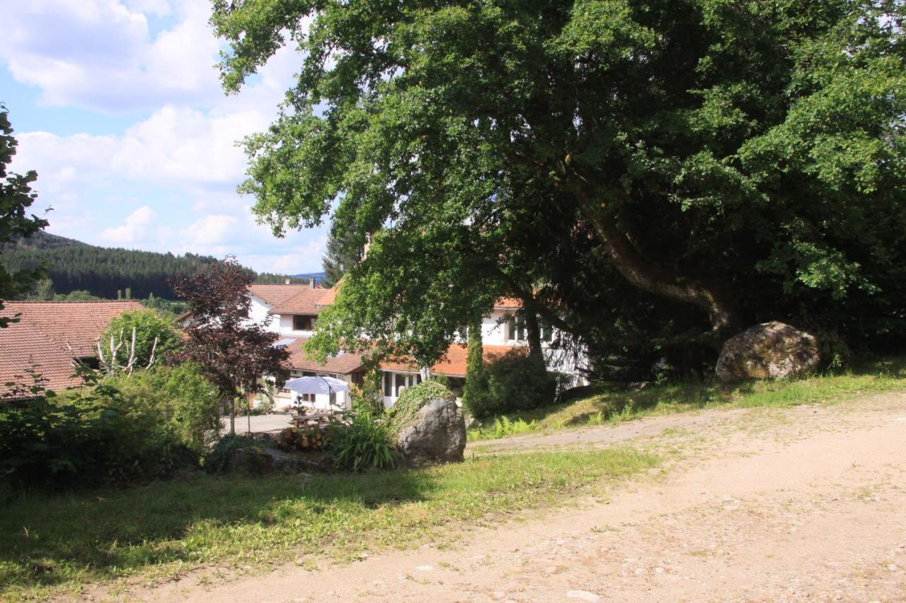 Notre Dame Des Monts Hotel Ban-sur-Meurthe-Clefcy Exterior photo